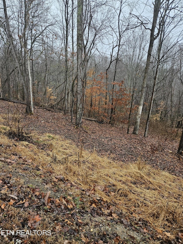 Listing photo 3 for Whitman Hollow Rd, Lafollette TN 37766