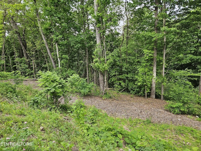 Whitman Hollow Rd, Lafollette, TN 37766