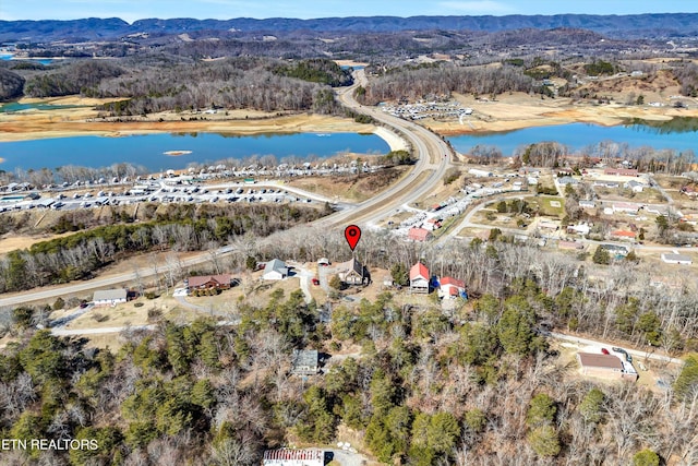 birds eye view of property with a water and mountain view