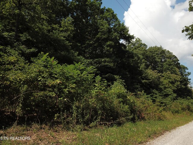 Millstone Mountain Rd, Rockwood, TN 37854