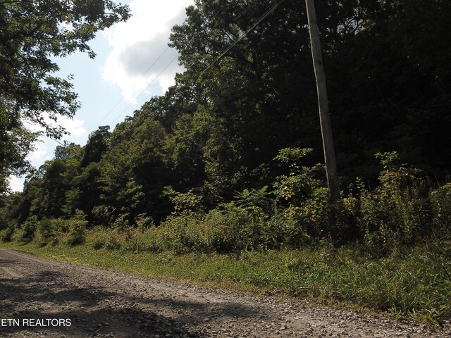 Millstone Mountain Rd, Rockwood, TN 37854