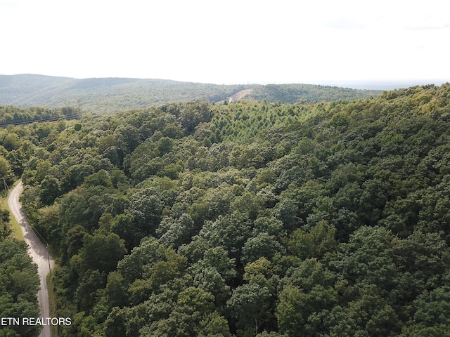 Millstone Mountain Rd, Rockwood, TN 37854