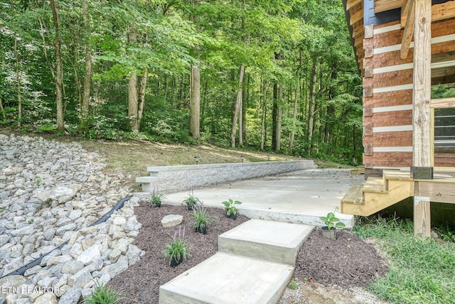 view of yard featuring a patio