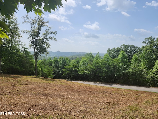 1003 Sheerwater Rd, Kingston TN, 37763 land for sale