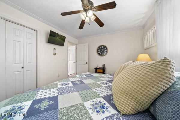 bedroom featuring ornamental molding, a closet, and ceiling fan