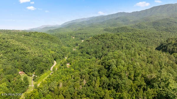 property view of mountains