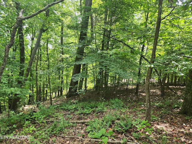 Listing photo 2 for LOT3 Sheerwater Rd, Kingston TN 37763