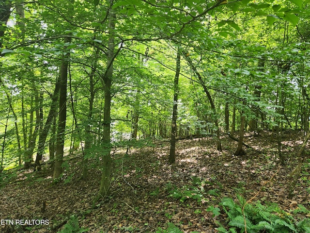 Listing photo 3 for LOT3 Sheerwater Rd, Kingston TN 37763