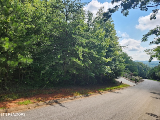 LOT3 Sheerwater Rd, Kingston TN, 37763 land for sale