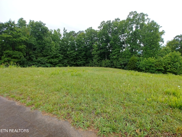 Listing photo 3 for 0 Mill Dr, Decatur TN 37322