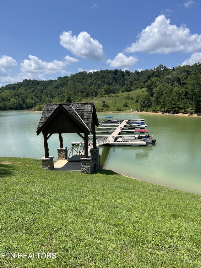 Stone Bridge Dr, Dandridge, TN 37725