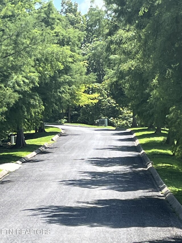 Stone Bridge Dr, Dandridge, TN 37725