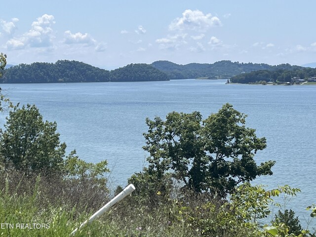 Stone Bridge Dr, Dandridge, TN 37725