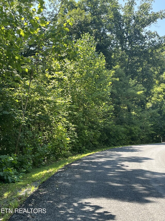 Stone Bridge Dr, Dandridge, TN 37725