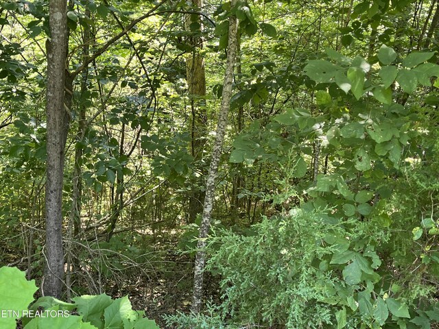 Stone Bridge Dr, Dandridge, TN 37725
