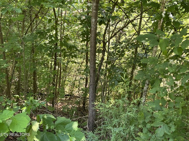 Stone Bridge Dr, Dandridge, TN 37725
