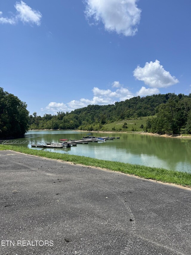 Stone Bridge Dr, Dandridge, TN 37725
