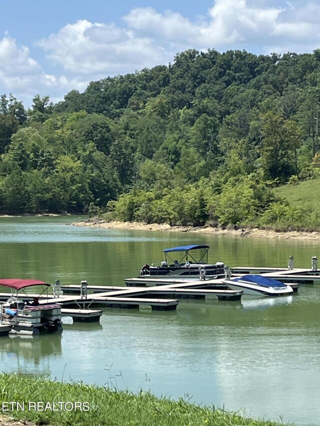 Stone Bridge Dr, Dandridge, TN 37725