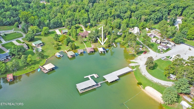 aerial view with a water view and a view of trees