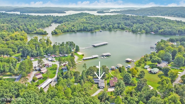 bird's eye view with a water view and a forest view