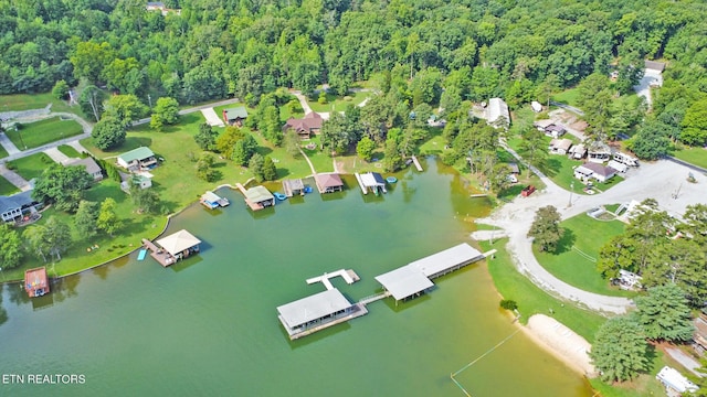 bird's eye view with a water view and a wooded view