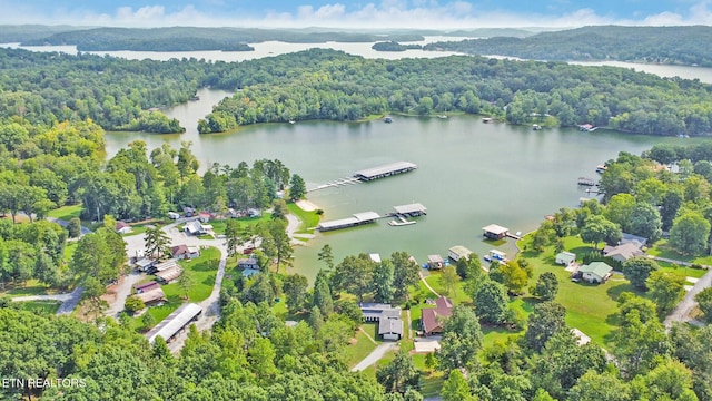 aerial view featuring a water view and a forest view