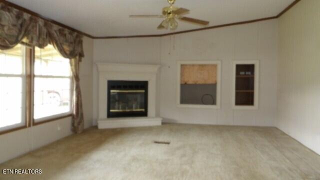 11500 Clay County Hwy, Moss, TN 38575 - photo 19