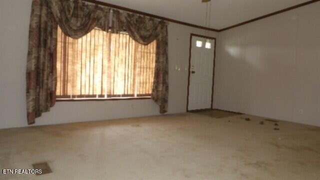 11500 Clay County Hwy, Moss, TN 38575 - photo 30