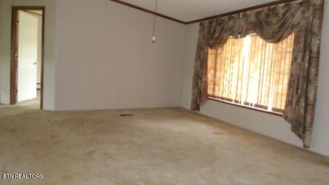 11500 Clay County Hwy, Moss, TN 38575 - photo 32