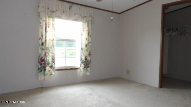 11500 Clay County Hwy, Moss, TN 38575 - photo 33