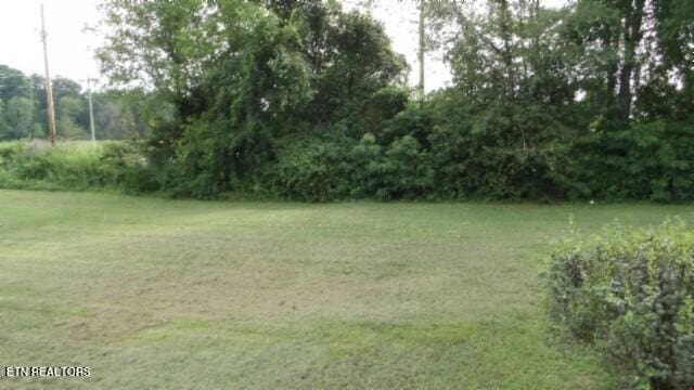 11500 Clay County Hwy, Moss, TN 38575 - photo 41