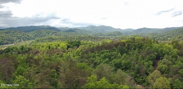 Listing photo 2 for 723 Pinnacle Vista Rd, Gatlinburg TN 37738