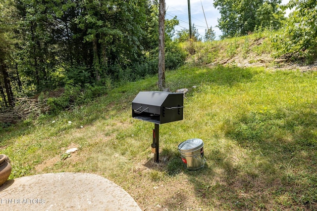 973 Pleasure Rd, Sevierville, TN 37876 - photo 36