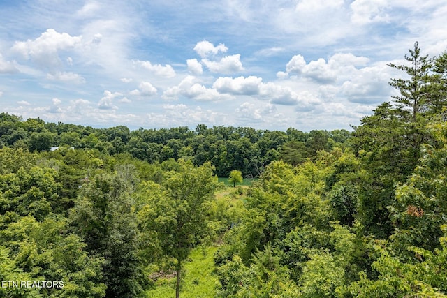 973 Pleasure Rd, Sevierville, TN 37876 - photo 37