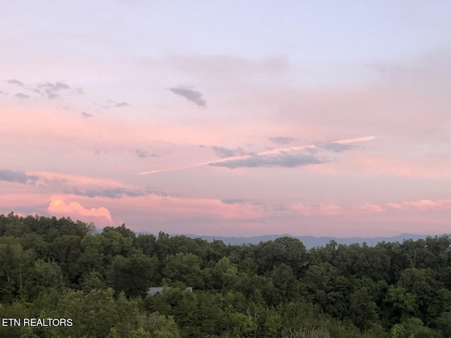 view of nature at dusk