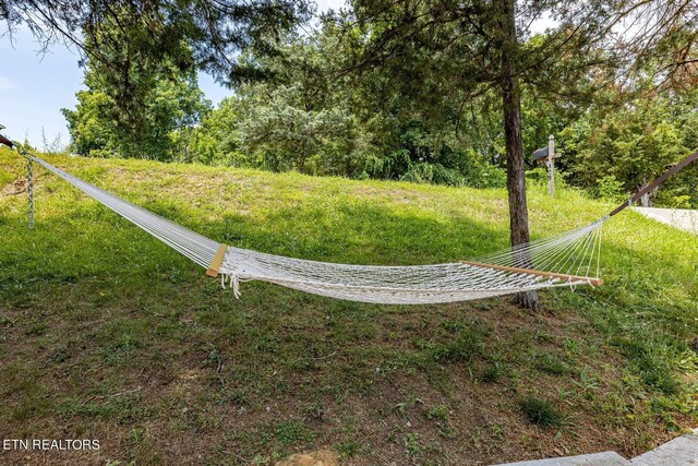 973 Pleasure Rd, Sevierville, TN 37876 - photo 8