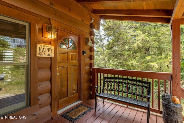 973 Pleasure Rd, Sevierville, TN 37876 - photo 6