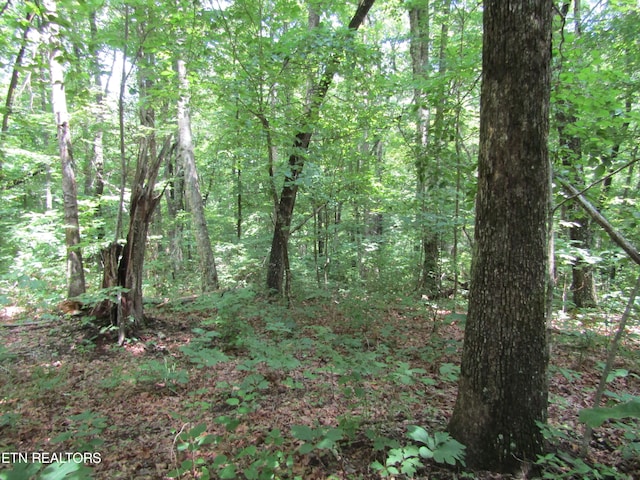 LOT29 Davidson Dr, Monterey TN, 38574 land for sale