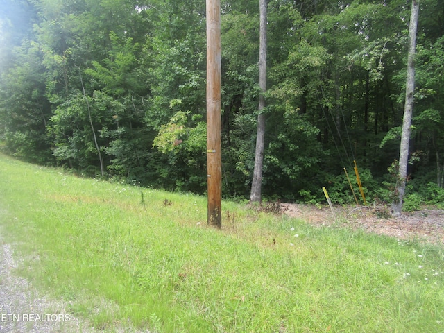 Listing photo 2 for LOT29 Davidson Dr, Monterey TN 38574