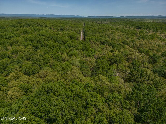 1206 Wind Rush Way, Monterey, TN 38574 - photo 3