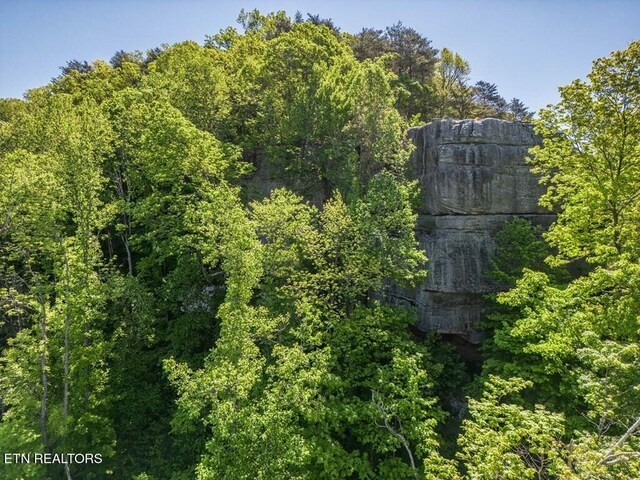 1206 Wind Rush Way, Monterey, TN 38574 - photo 5