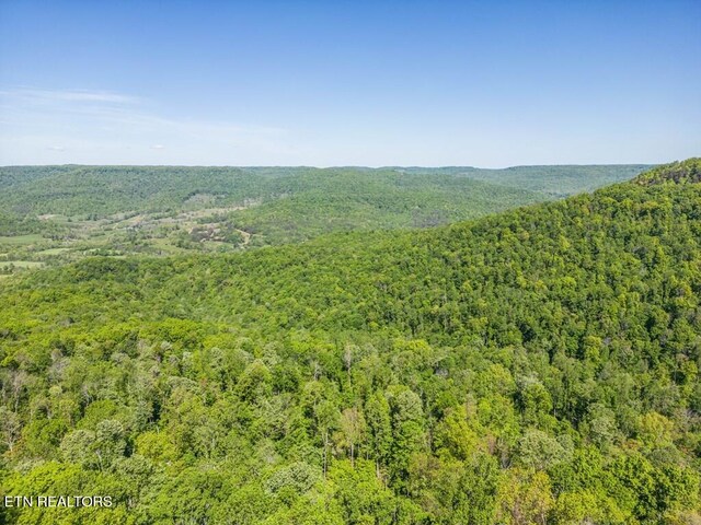 1206 Wind Rush Way, Monterey, TN 38574 - photo 7