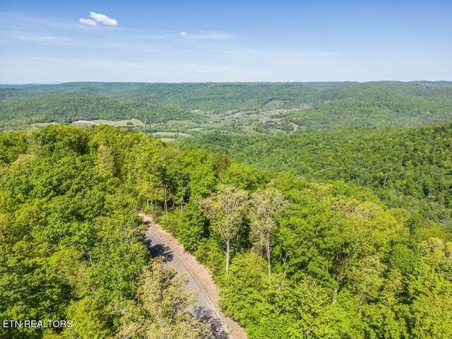 1206 Wind Rush Way, Monterey, TN 38574 - photo 8