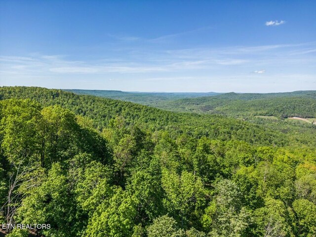 1137 Moss Bend Trl, Monterey, TN 38574 - photo 2