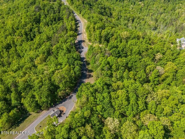 1137 Moss Bend Trl, Monterey, TN 38574 - photo 6