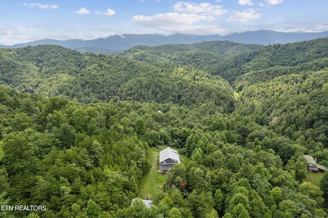 bird's eye view with a mountain view