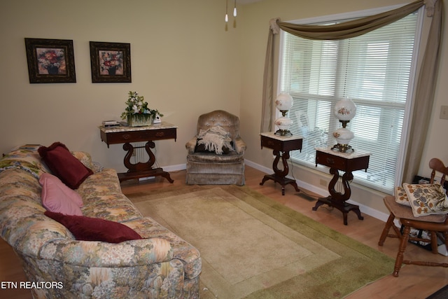 living room featuring hardwood / wood-style flooring