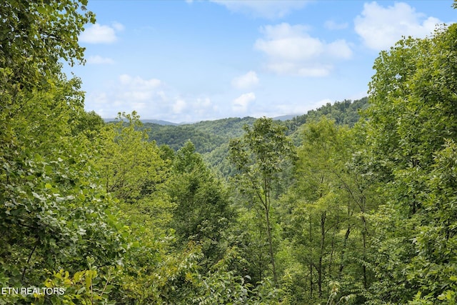 view of mountain feature