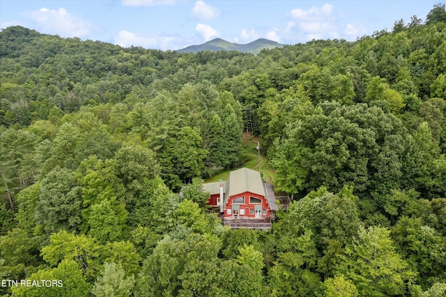 birds eye view of property featuring a mountain view