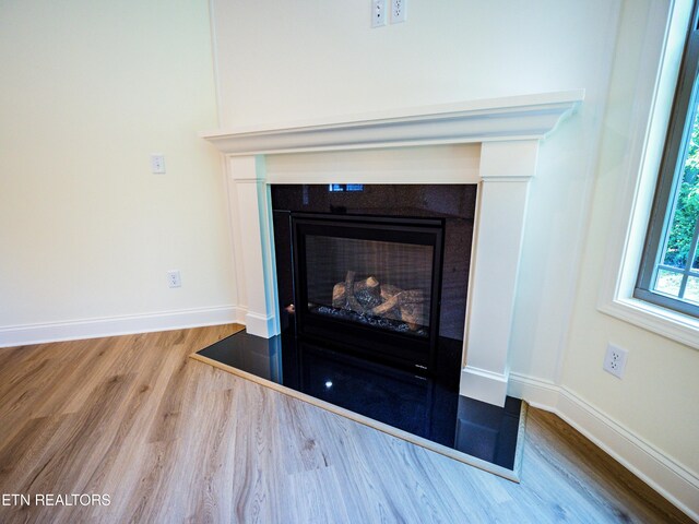 interior details with hardwood / wood-style floors